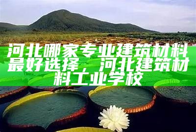 河北哪家专业建筑材料最好选择，河北建筑材料工业学校