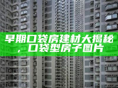 早期口袋房建材大揭秘，口袋型房子图片