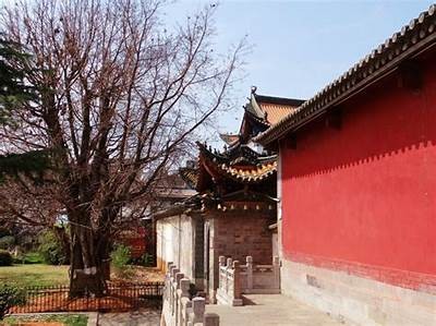 官渡少林寺建筑材料及历史探析，少林寺古建筑